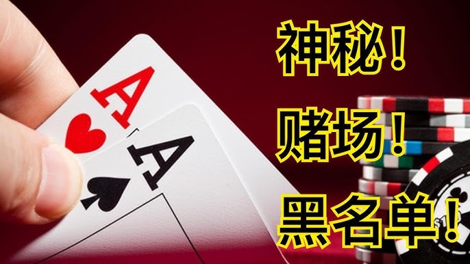 如何设定止损 × 止盈？资深玩家实战笔记-白菜分享-免费彩金-白嫖彩金论坛